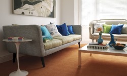 Carpet Product News
